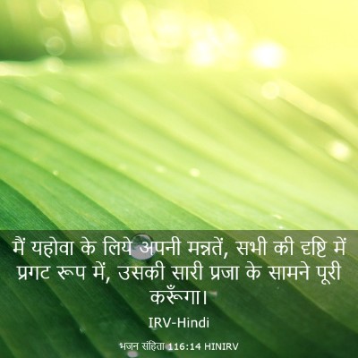 Picture 03 - भजन संहिता 116:14 HINIRV - मैं यहोवा के लिये - Bible Verse Picture