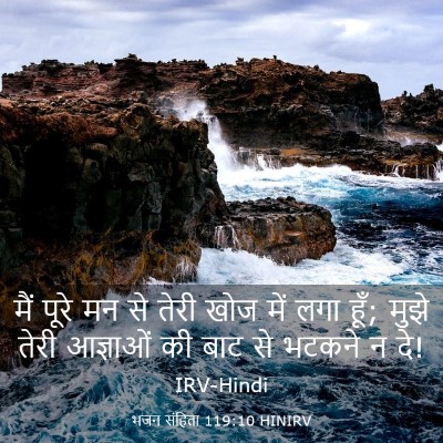 Picture 03 - भजन संहिता 119:10 HINIRV - मैं पूरे मन से तेरी - Bible Verse Picture