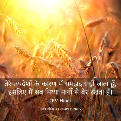 Picture 03 - भजन संहिता 119:104 HINIRV - तेरे उपदेशों के - Bible Verse Picture