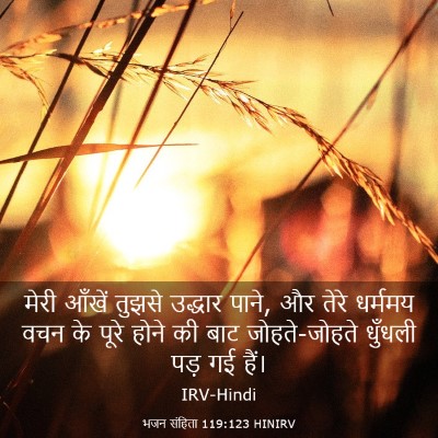 Picture 03 - भजन संहिता 119:123 HINIRV - मेरी आँखें तुझसे - Bible Verse Picture