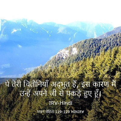 Picture 03 - भजन संहिता 119:129 HINIRV - पे तेरी चितौनियाँ - Bible Verse Picture