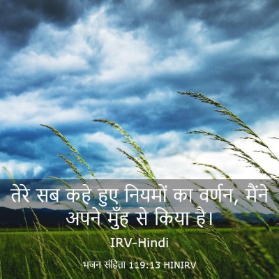 Picture 03 - भजन संहिता 119:13 HINIRV - तेरे सब कहे हुए - Bible Verse Picture