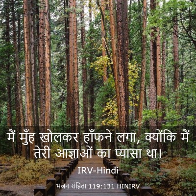 Picture 03 - भजन संहिता 119:131 HINIRV - मैं मुँह खोलकर - Bible Verse Picture