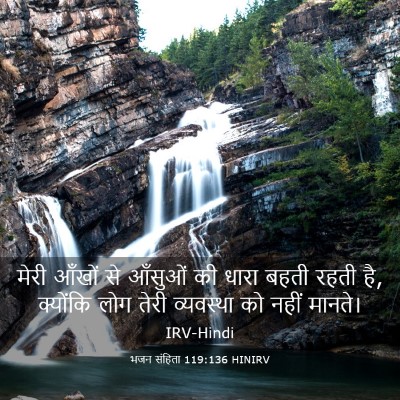 Picture 03 - भजन संहिता 119:136 HINIRV - मेरी आँखों से - Bible Verse Picture