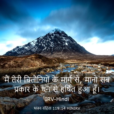Picture 03 - भजन संहिता 119:14 HINIRV - मैं तेरी - Bible Verse Picture