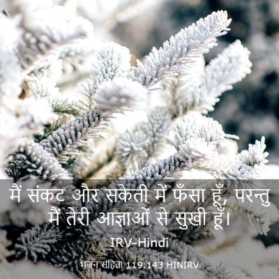 Picture 03 - भजन संहिता 119:143 HINIRV - मैं संकट और सकेती - Bible Verse Picture