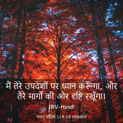 Picture 03 - भजन संहिता 119:15 HINIRV - मैं तेरे उपदेशों - Bible Verse Picture