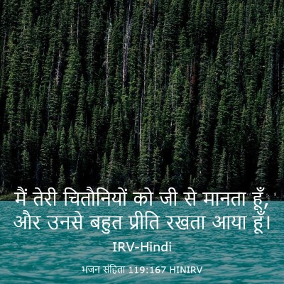Picture 03 - भजन संहिता 119:167 HINIRV - मैं तेरी - Bible Verse Picture