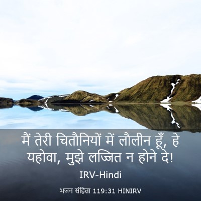 Picture 03 - भजन संहिता 119:31 HINIRV - मैं तेरी - Bible Verse Picture