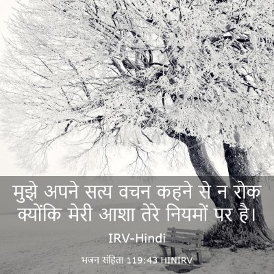 Picture 03 - भजन संहिता 119:43 HINIRV - मुझे अपने सत्य वचन - Bible Verse Picture
