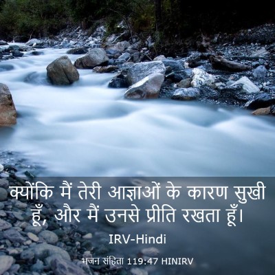 Picture 03 - भजन संहिता 119:47 HINIRV - क्योंकि मैं तेरी - Bible Verse Picture