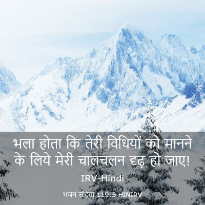 Picture 03 - भजन संहिता 119:5 HINIRV - भला होता कि तेरी - Bible Verse Picture