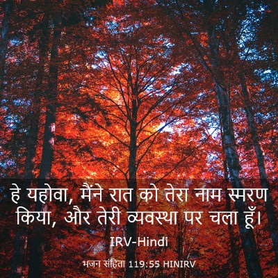 Picture 03 - भजन संहिता 119:55 HINIRV - हे यहोवा, मैंने रात - Bible Verse Picture