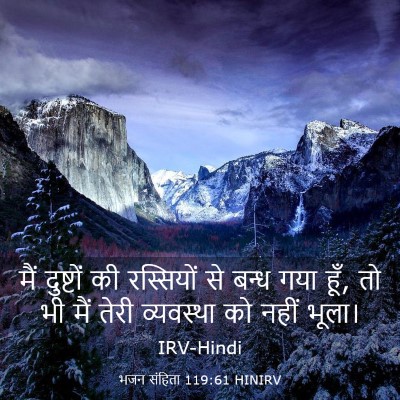 Picture 03 - भजन संहिता 119:61 HINIRV - मैं दुष्टों की - Bible Verse Picture
