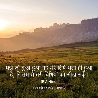 Picture 03 - भजन संहिता 119:71 HINIRV - मुझे जो दुःख हुआ वह - Bible Verse Picture