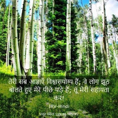 Picture 03 - भजन संहिता 119:86 HINIRV - तेरी सब आज्ञाएँ - Bible Verse Picture