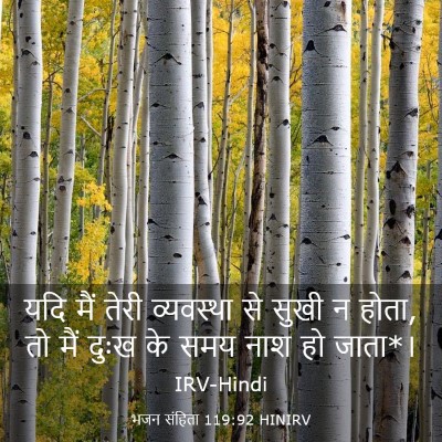 Picture 03 - भजन संहिता 119:92 HINIRV - यदि मैं तेरी - Bible Verse Picture