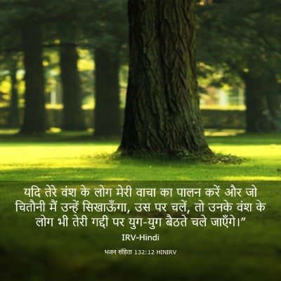 Picture 03 - भजन संहिता 132:12 HINIRV - यदि तेरे वंश के लोग - Bible Verse Picture