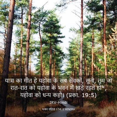 Picture 03 - भजन संहिता 134:1 HINIRV - यात्रा का गीत हे - Bible Verse Picture