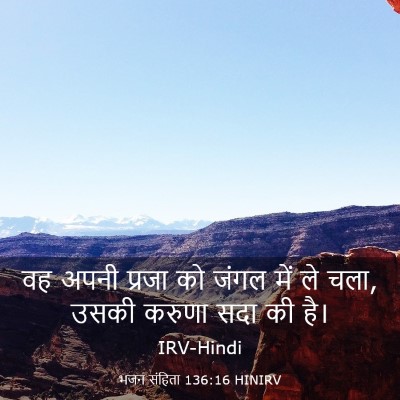 Picture 03 - भजन संहिता 136:16 HINIRV - वह अपनी प्रजा को - Bible Verse Picture