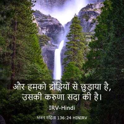 Picture 03 - भजन संहिता 136:24 HINIRV - और हमको द्रोहियों - Bible Verse Picture