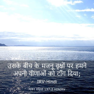 Picture 03 - भजन संहिता 137:2 HINIRV - उसके बीच के मजनू - Bible Verse Picture
