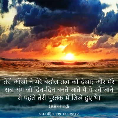 Picture 03 - भजन संहिता 139:16 HINIRV - तेरी आँखों ने मेरे - Bible Verse Picture