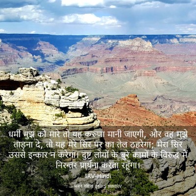 Picture 03 - भजन संहिता 141:5 HINIRV - धर्मी मुझ को मारे - Bible Verse Picture