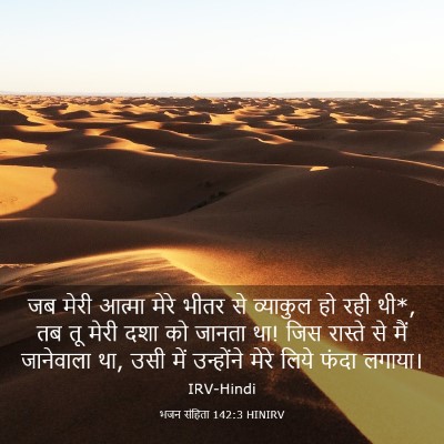 Picture 03 - भजन संहिता 142:3 HINIRV - जब मेरी आत्मा मेरे - Bible Verse Picture
