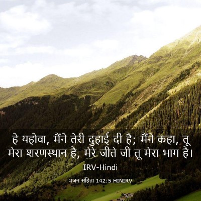 Picture 03 - भजन संहिता 142:5 HINIRV - हे यहोवा, मैंने - Bible Verse Picture