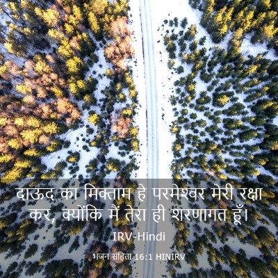 Picture 03 - भजन संहिता 16:1 HINIRV - दाऊद का मिक्ताम हे - Bible Verse Picture
