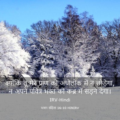 Picture 03 - भजन संहिता 16:10 HINIRV - क्योंकि तू मेरे - Bible Verse Picture