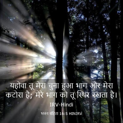 Picture 03 - भजन संहिता 16:5 HINIRV - यहोवा तू मेरा चुना - Bible Verse Picture