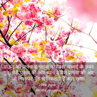 Picture 03 - भजन संहिता 17:1 HINIRV - दाऊद की प्रार्थना - Bible Verse Picture