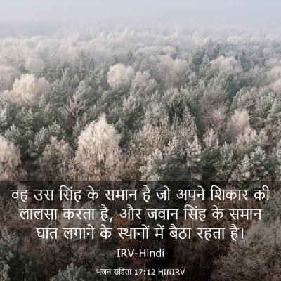 Picture 03 - भजन संहिता 17:12 HINIRV - वह उस सिंह के समान - Bible Verse Picture