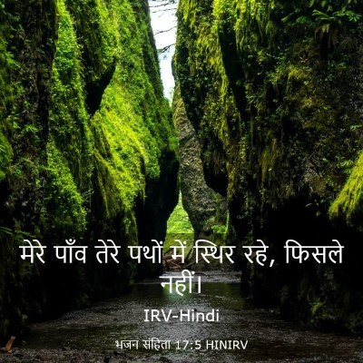 Picture 03 - भजन संहिता 17:5 HINIRV - मेरे पाँव तेरे - Bible Verse Picture