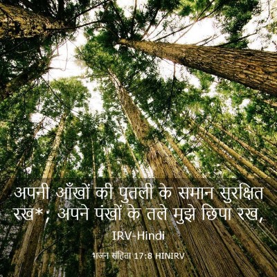 Picture 03 - भजन संहिता 17:8 HINIRV - अपनी आँखों की - Bible Verse Picture