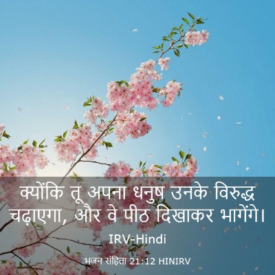 Picture 03 - भजन संहिता 21:12 HINIRV - क्योंकि तू अपना - Bible Verse Picture