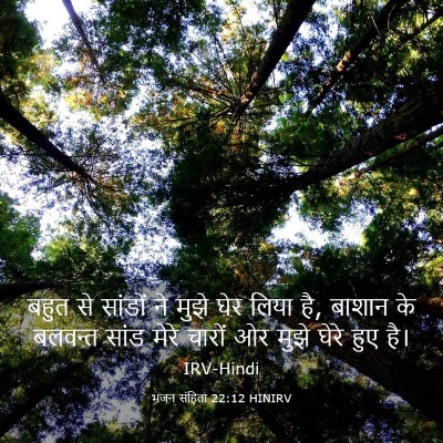 Picture 03 - भजन संहिता 22:12 HINIRV - बहुत से सांडों ने - Bible Verse Picture