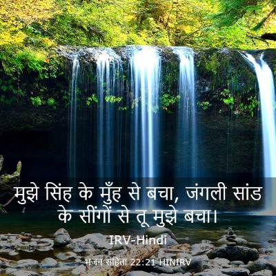 Picture 03 - भजन संहिता 22:21 HINIRV - मुझे सिंह के मुँह - Bible Verse Picture