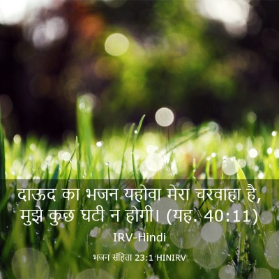Picture 03 - भजन संहिता 23:1 HINIRV - दाऊद का भजन यहोवा - Bible Verse Picture