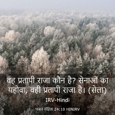 Picture 03 - भजन संहिता 24:10 HINIRV - वह प्रतापी राजा - Bible Verse Picture