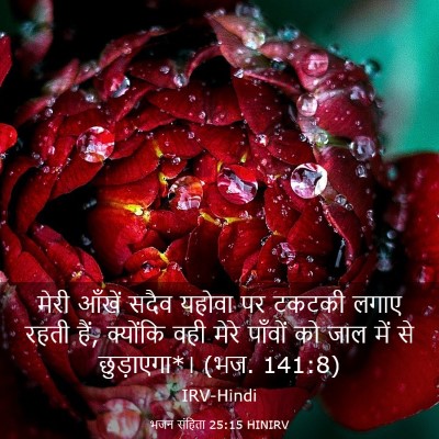 Picture 03 - भजन संहिता 25:15 HINIRV - मेरी आँखें सदैव - Bible Verse Picture