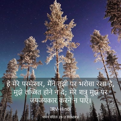 Picture 03 - भजन संहिता 25:2 HINIRV - हे मेरे परमेश्‍वर, - Bible Verse Picture