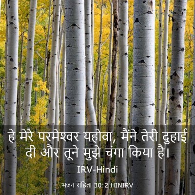 Picture 03 - भजन संहिता 30:2 HINIRV - हे मेरे परमेश्‍वर - Bible Verse Picture