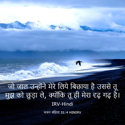 Picture 03 - भजन संहिता 31:4 HINIRV - जो जाल उन्होंने - Bible Verse Picture