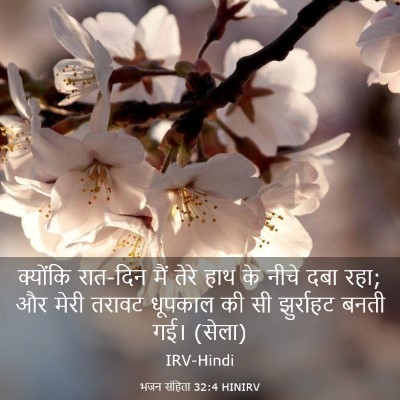 Picture 03 - भजन संहिता 32:4 HINIRV - क्योंकि रात-दिन - Bible Verse Picture