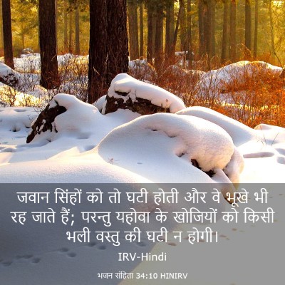 Picture 03 - भजन संहिता 34:10 HINIRV - जवान सिंहों को तो - Bible Verse Picture
