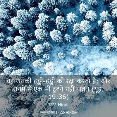 Picture 03 - भजन संहिता 34:20 HINIRV - वह उसकी - Bible Verse Picture