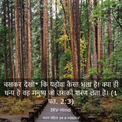 Picture 03 - भजन संहिता 34:8 HINIRV - चखकर देखो* कि यहोवा - Bible Verse Picture